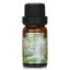 ɥ롦& Fragrance Oil - No. Tropical Forest 10ml Carroll &Chan Fragrance Oil - No. Tropical Forest 10ml ̵ ڳŷΡ