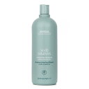 アヴェダ Scalp Solutions Balancing Shampoo 1000ml Aveda Scalp Solutions Balancing Shampoo 1000ml 送料無料 【楽天海外通販】