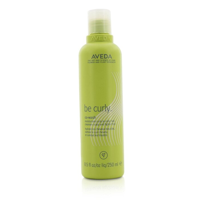 アヴェダ ビーカーリー コンディショニングウォッシュ 250ml Aveda Be Curly Co-Wash 250ml 送料無料 【楽天海外通販】