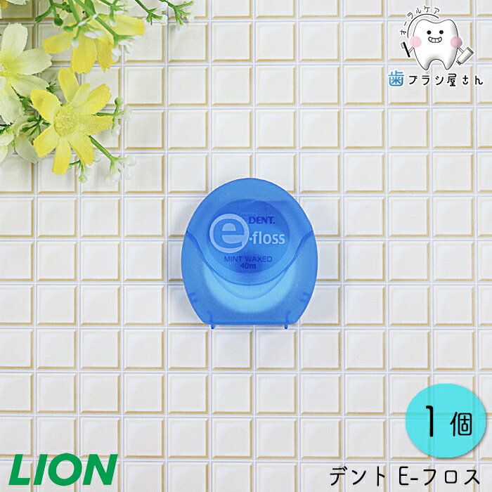 LION ライオン デント E-フロス 1個 | 糸通し デンタルフロス 糸ようじ ワックス 歯間 ワイヤー 挿入 歯肉 歯間ブラシ ケース 携帯 ハブラシ はぶらし デンタル 指導 予防よぼう 歯科用 歯科専売 歯科 歯科医院 オーラルケア