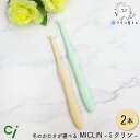 Ci 毛のかたさが選べる ワンタフト MICLIN ミクリン M ふつう/S やわらかめ 2本