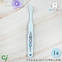 Ci キャラクター 子供 歯ブラシ ドラえもん 502(M ふつう) /503(S やわらかめ) 1本