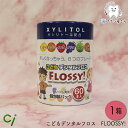 こどもデンタルフロス FLOOSSY! (フロッシー) 60本入×1箱 | デンタルフロス 子供 子ども キシリトール 配合 味付き 歯科専売品