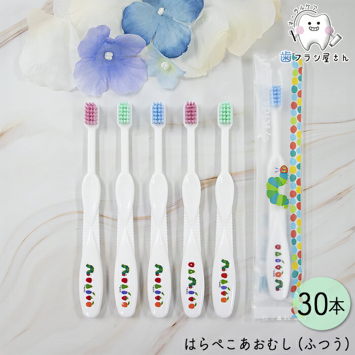 Ci キッズ はらぺこあおむし M ふつう 30本 | エリックカール 歯ブラシ 子供 幼児 小学校低学年 4列植..