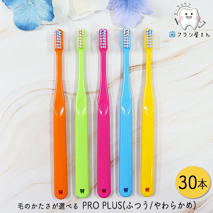 Ci PRO PLUS 毛のかたさが選べる M ふつう/S やわらかめ 30本 | 歯ブラシ T字カラー コンパクト 3列 ダブル植毛 T字植毛 つま先磨き かかと磨き プロプラス 日本製 歯科専売 まとめ買い セット