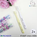 PROXIDENT #1666P やわらかめ 2本