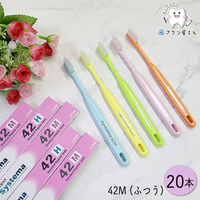 ߸˽ʬ ӤΤ٤ LION DENT. EX systema 42 쥮顼 M դĤ 20 | ƥ ֥饷 