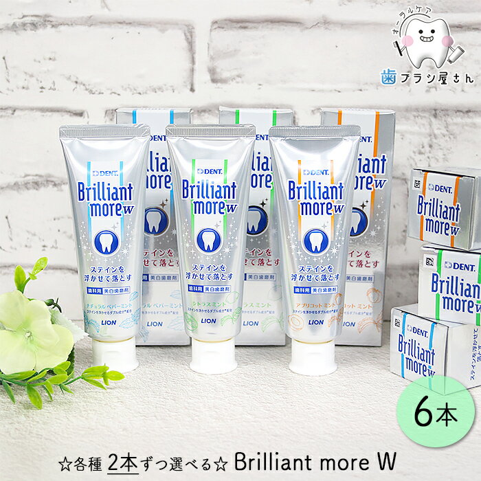 ☆各種2本ずつ選べる組み合わせ☆ LION Brillian