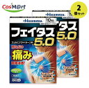 【2個セット】 【ゆうパケットにて発送】 【第2類医薬品】久光製薬 フェイタス5.0 フェルビナク配合テープ剤 10枚入【セルフメディケーション税制対象商品】 ...