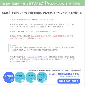 送料無料 女性の育毛、養毛に! 女性の抜け毛原因に多いびまん性脱毛に!女性に人気のエイジングケア成分 プラセンタ,ローヤルゼリー, アロエ,ヒアルロン酸,ビワ葉エキスの育毛剤 : 薬用 育毛剤 エヴァンジル 100ml【サロン専売品】