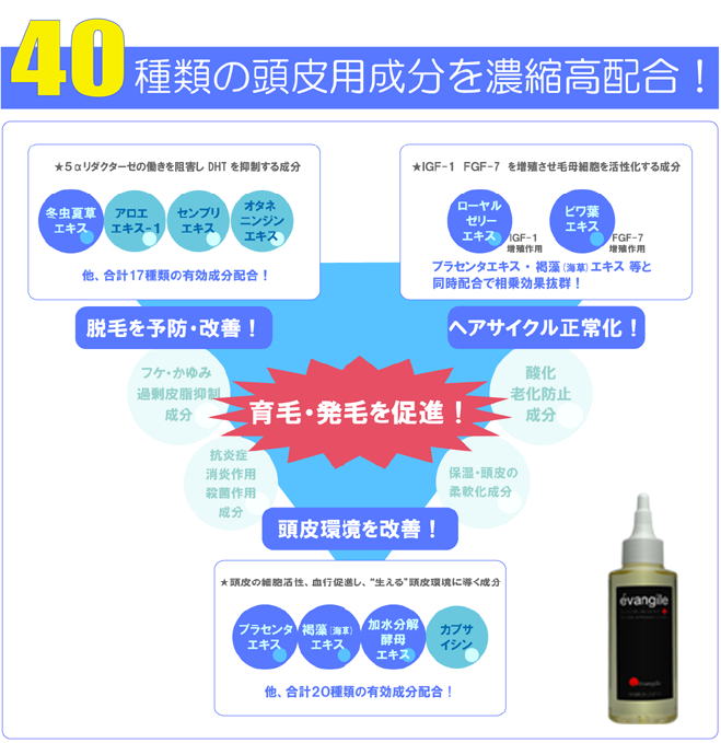 【送料無料・期間限定ポイント5倍】本格育毛サロン級スカルプケアに 育毛剤選びでお悩みの方に 店長お薦め！育毛剤人気ランキング上位の育毛成分を凝縮配合 男性用育毛剤・女性用育毛剤 ： 薬用育毛剤エヴァンジル（evangile）100ml×6本セット（医薬部外品）