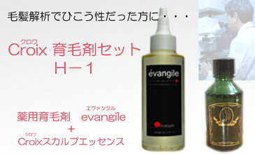 Croix育毛剤セットH−1（1ヶ月分）：毛髪解析でハゲ原因がひこう性（粃糠性）脱毛 傾向だった方に！禿・抜け毛・薄毛・フケ・頭皮臭・かゆみの悩みに！育毛効果促進　新・発毛対策　薬用育毛剤 エヴァンジルとCroixスカルプエッセンスH-1 セット