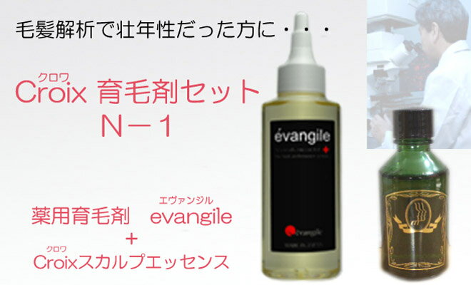 Croix育毛剤セットN−1（1ヶ月分）：毛髪診断で脱毛原因が壮年性脱毛 傾向だった方に！育毛促進 発毛促進 ハゲ・抜毛・薄毛・フケ・かゆみ・頭皮臭の悩みに！ 育毛対策 薬用育毛剤 エヴァンジル（医薬部外品）とCroixスカルプエッセンスN-1 セット