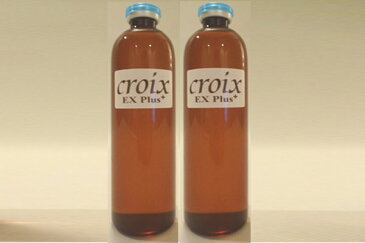 CroixスカルプエッセンスEXプラス 120ml×2本：2年連続「銀賞」受賞の注目育毛成分 リデンシル＋あの発毛成分の3倍の実力 キャピキシル配合！ EGF FGF IGF 配合！抜け毛対策 抜け毛防止 薄毛対策 育毛サロン専売品育毛剤