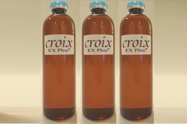 CroixスカルプエッセンスEXプラス 120ml×3本：2年連続「銀賞」受賞の注目育毛成分 リデンシル＋あの発毛成分の3倍の実力 キャピキシル配合！ EGF FGF IGF 配合！抜け毛対策 抜け毛防止 薄毛対策 育毛サロン専売品育毛剤