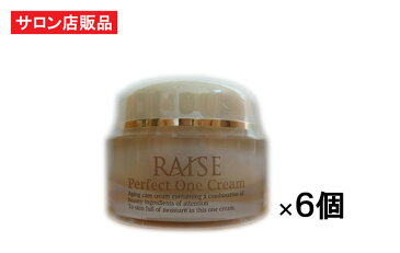 RAISE パーフェクトワンクリーム 50g×6個 【R-cell（リセル）】 EGF IGF FGF TGF 馬プラセンタ 低分子コラーゲン セラミド アルブチン等 高機能 サロン専売オールインワン美容クリーム