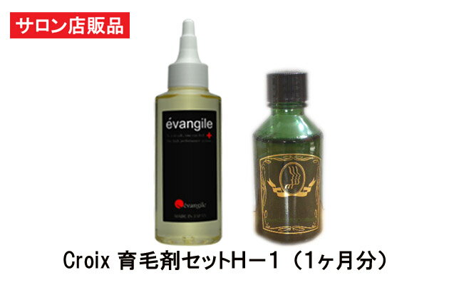 Croix育毛剤セットH−1（1ヶ月分）：毛髪解析でハゲ原因がひこう性（粃糠性）脱毛 傾向だった方に！禿・抜け毛・薄毛・フケ・頭皮臭・かゆみの悩みに！育毛効果促進　新・発毛対策　薬用育毛剤 エヴァンジルとCroixスカルプエッセンスH-1 セット