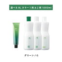 【 選べる 1剤 2剤 】 フィヨーレ BLカラー G6 グリーン 120g FIOLE BL COLOR オキシ 1000ml 6% 3%