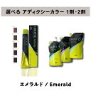 【 選べる 1剤 2剤 セット 】 ミルボン オルディーブ アディクシー エメラルド 80g & オルディーブ アディクシー オキシダン 1000ml ORDEVE Addicthy