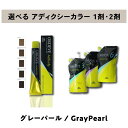 【 選べる 1剤 2剤 セット 】 ミルボン オルディーブ アディクシー グレーパール 80g & オルディーブ アディクシー オキシダン 1000ml ORDEVE Addicthy