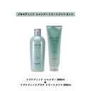 【 セット 】LebeL ルベル プロエディット シャンプー ソフトフィット 300ml + ヘアトリートメント ソフトフィットプラス 250ml SOFTFIT proedit
