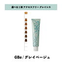 【 選べる 1剤 】 グレイシスカラー ( GRAICYS COLOR ) ナプラ アクセスフリーHB グレイシスカラー GBe 80g グレイベージュ ヘアカラー
