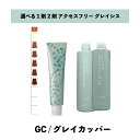 【 選べる 1剤 2剤 】 グレイシスカラー ( GRAICYS COLOR ) ナプラ アクセスフリーHB グレイシスカラー GC-9 80g グレイカッパー ヘアカラー オキシ 3% 6%
