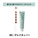 【 選べる 1剤 】グレイシスカラー ( GRAICYS COLOR ) ナプラ アクセスフリーHB グレイシスカラー GC-9 80g グレイカッパー ヘアカラー