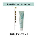 【 選べる 1剤 】 グレイシスカラー ( GRAICYS COLOR ) ナプラ アクセスフリーHB グレイシスカラー GM 80g グレイマット ヘアカラー