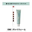 【 選べる 1剤 】 グレイシスカラー ( GRAICYS COLOR ) ナプラ アクセスフリーHB グレイシスカラー GW 80g グレイウォーム ヘアカラー