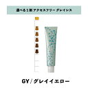 【 選べる 1剤 】 グレイシスカラー ( GRAICYS COLOR ) ナプラ アクセスフリーHB グレイシスカラー GY 80g グレイイエロー ヘアカラー