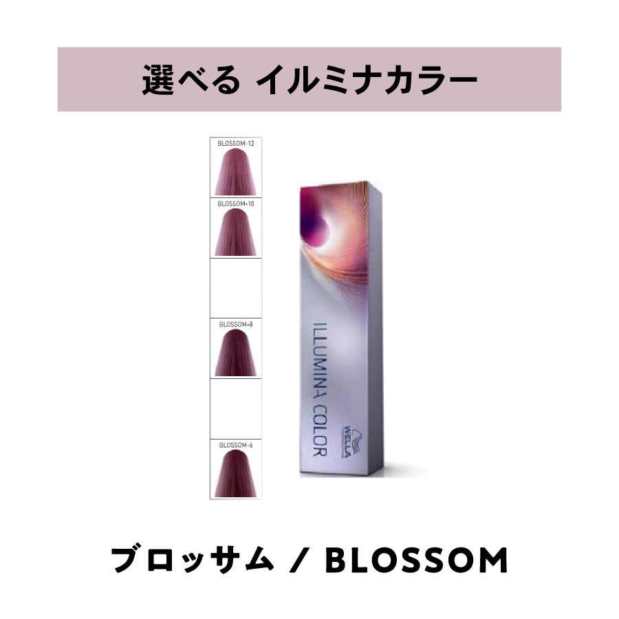 【 選べる 1剤 】 ウェラ WELLA イルミナカラー ブロッサム 80g