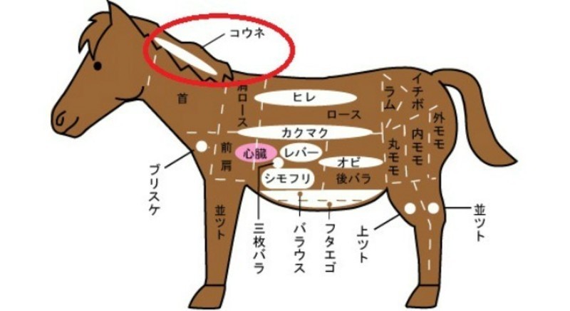 こうね脂のみを使用した馬油シャンプー。高い浸透力でハリ艶のある髪に。