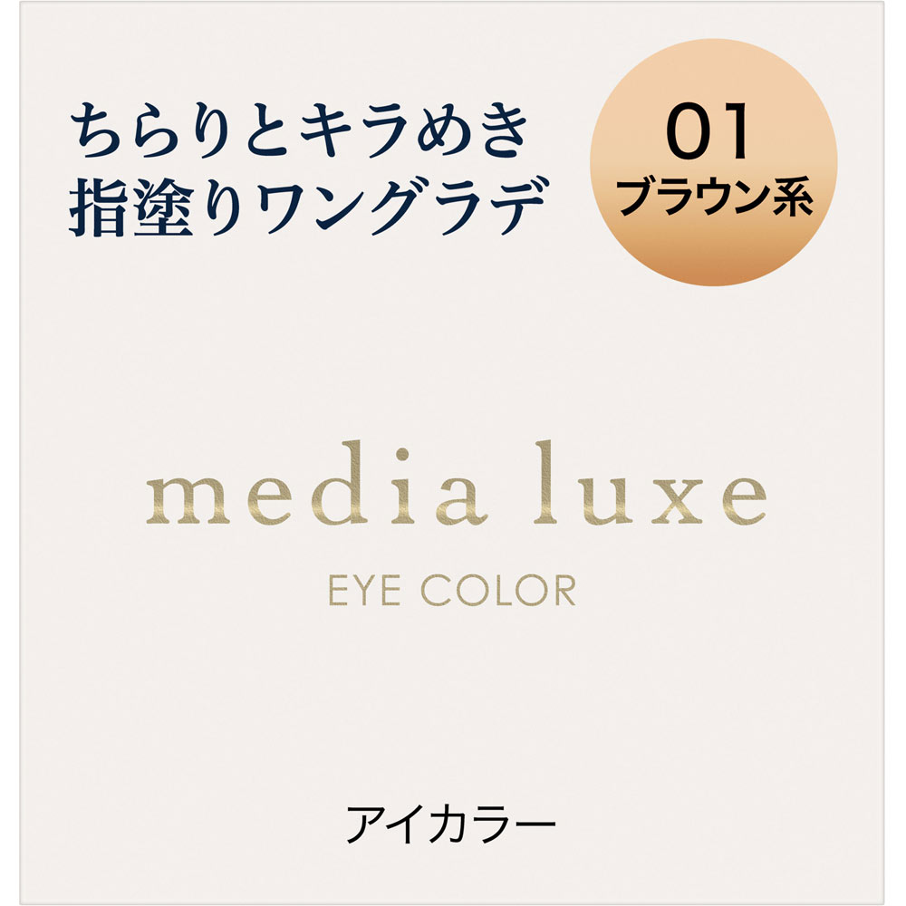 アイカラー / 本体 / 01 ブラウン系 / 1g / 無香料