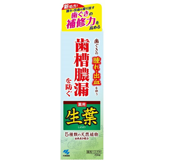 小林製薬 生葉 d 100g【医薬部外品】【配送A】