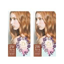 【2個セット】 資生堂 ベネフィーク ヘアカラー 2W 暖かみのあるより明るい栗色 ..送料無料