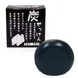 地の塩 炭せっけん （ 炭石鹸 ） 100g 薬用炭配合 chinoshiosya [SOAP_S]