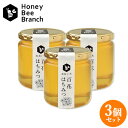 おおいた百花はちみつ 300g×3 純粋はちみつ おおいたのはちみつ ハニービーブランチ 枝次養蜂園【送料込】