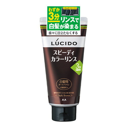 ルシード(LUCIDO) スピーディカラーリンス ダークブラウン 無香料 160g 白髪染め マンダム(mandom)