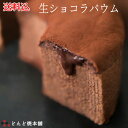 【送料無料(北海道除く)】生ショコラバウム (バウムクーヘン) どんど焼本舗