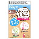 ビゲン(Bigen) ポンプカラー つめかえ 2RB 明るいリッチブラウン ホーユー(hoyu) 白髪染め 泡タイプ