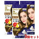 3個セット【3C キャラメルブラウン】ザ・クリームヘアカラー(白髪用) サロンドプロ(SALON de PRO) ダリヤ(DARIYA)【送料込】