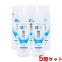 5個セット 極潤ヒアルロン液 ライトタイプ 化粧水 170mL 肌ラボ ハダラボ HADALABO ロート製薬(ROHTO)【送料込】