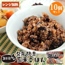 レンジで温めるだけ 3日寝かせ発芽酵素玄米ごはん 125g×10個セット レトルト 常温タイプ 無添加 大分県玖珠産玄米 北海道産小豆 ほっとコミュニケーション 春日屋【送料無料】