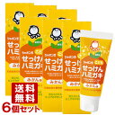 シャボン玉石けん こどもせっけんハミガキ みかん味 50g 6個セット 歯磨き粉 まとめ買い【送料込】