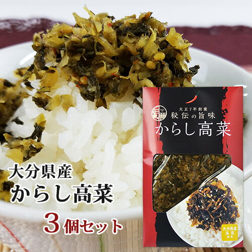 大分県産高菜使用 からし高菜 150g 3個セット HACCP認証取得 若山食品 紀豊庵【送料無料】