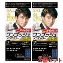 サロンドプロ ワンプッシュ メンズカラー 白髪用 2個セット 7 ナチュラルブラック SALON de PRO ダリヤ(DARIYA)【送料込(北海道除く)】