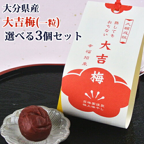 5%還元 大分県産無添加梅干し 大吉梅(一粒)×選べる3個セット オリジナル品種 縁起物(大願成就 合格祈願 必勝祈願 恋愛成就 子宝安産 健康長寿) 塩分16% 森梅園【送料無料】