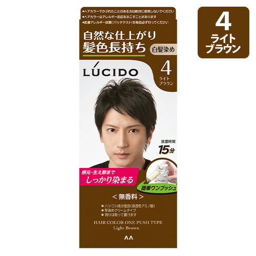 ルシード(LUCIDO) ワンプッシュケアカラー 4 ライトブラウン 白髪染めヘアカラー マンダム(mandom)