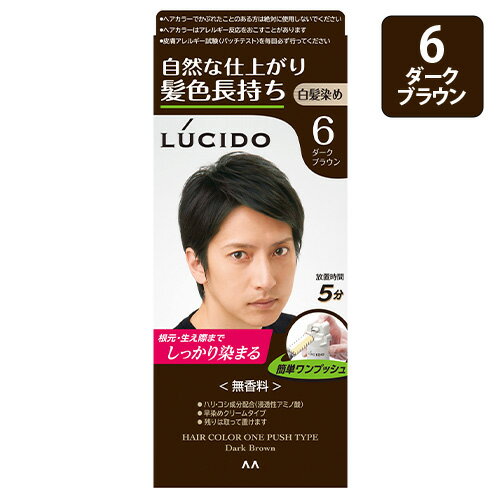 ルシード(LUCIDO) ワンプッシュケアカラー 6 ダークブラウン 白髪用染めヘアカラー マンダム(mandom)